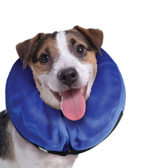 E-Collar Cloud